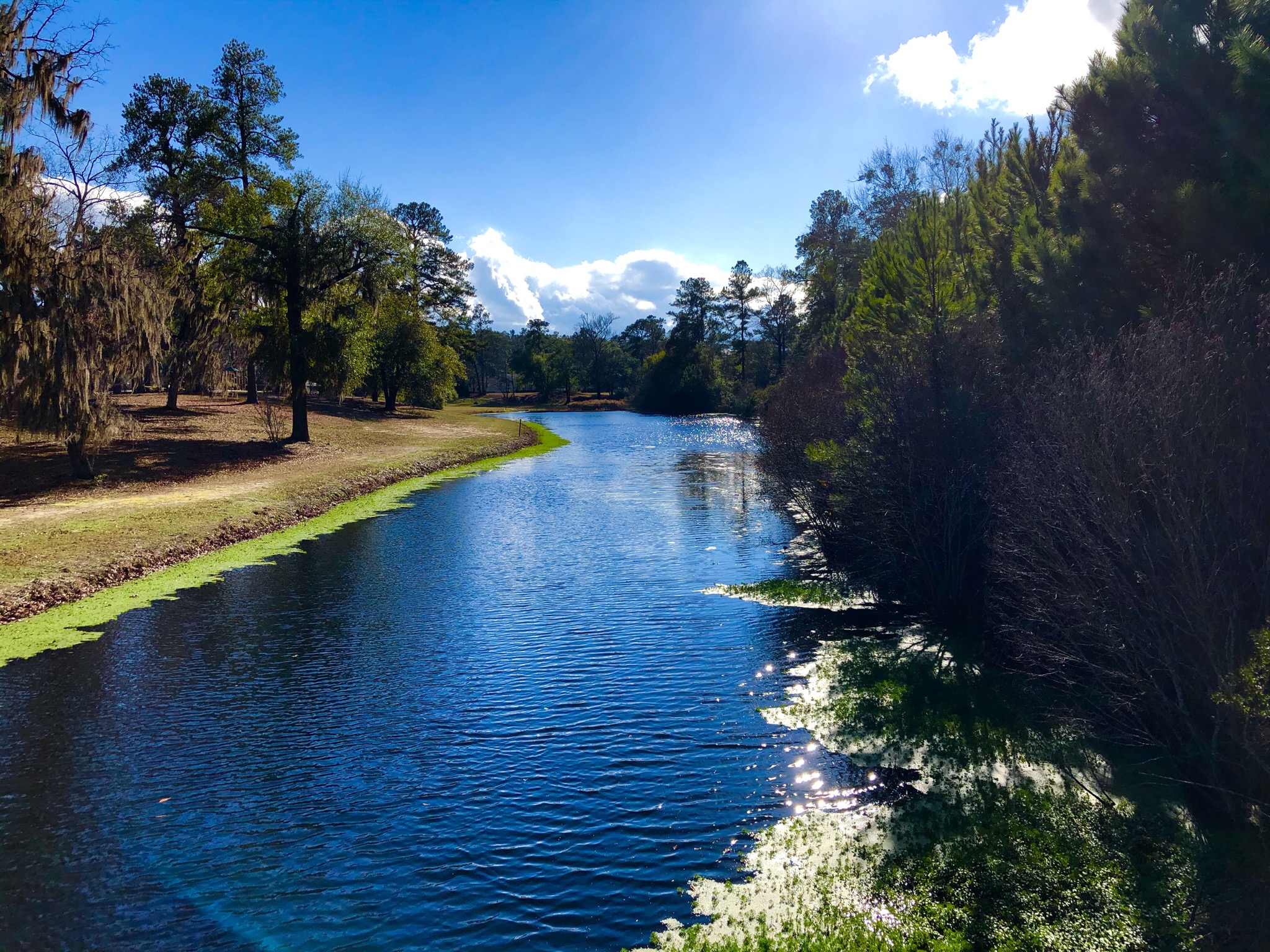 Magnolia Springs State Park In Millen Ga Southeast To Start