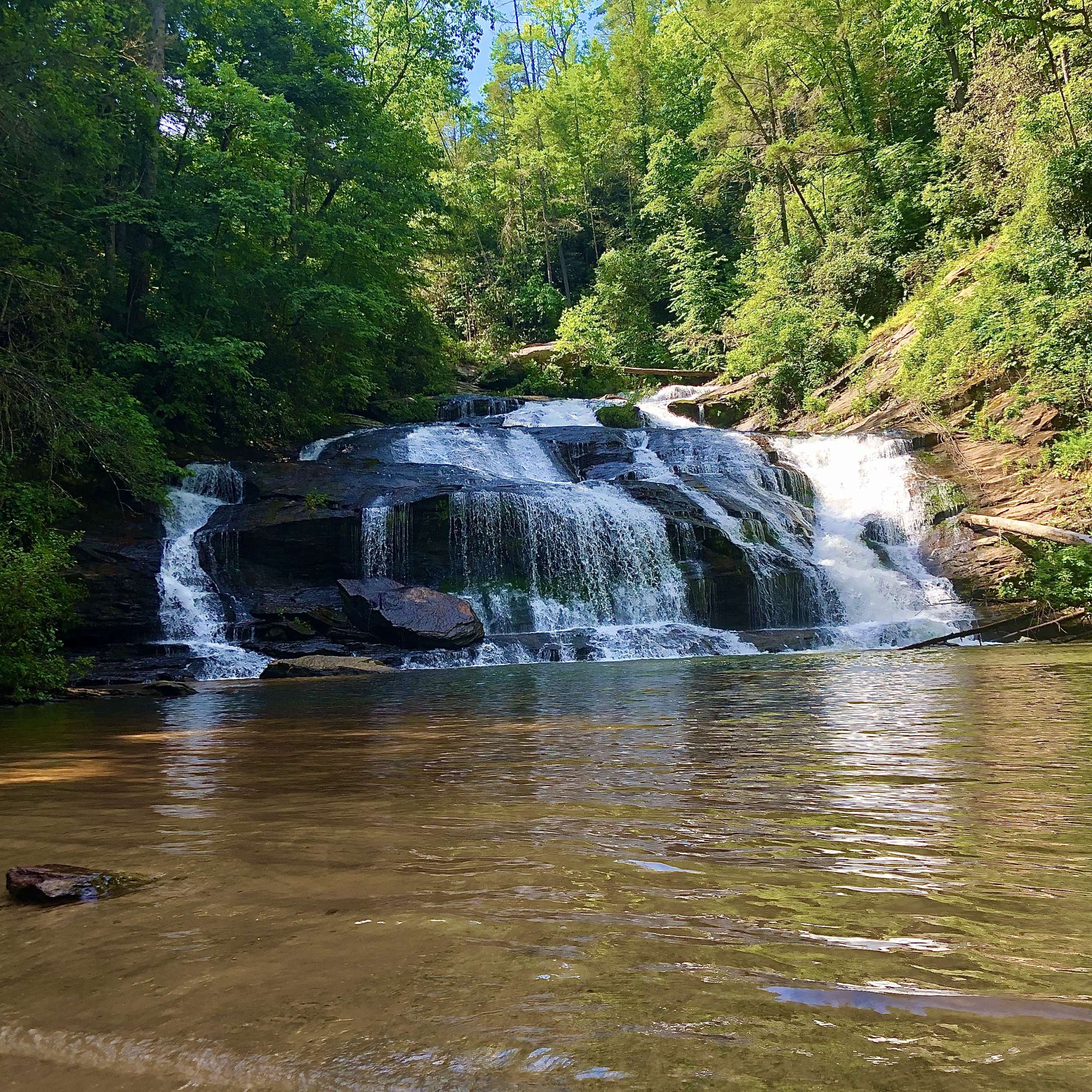 pather creek