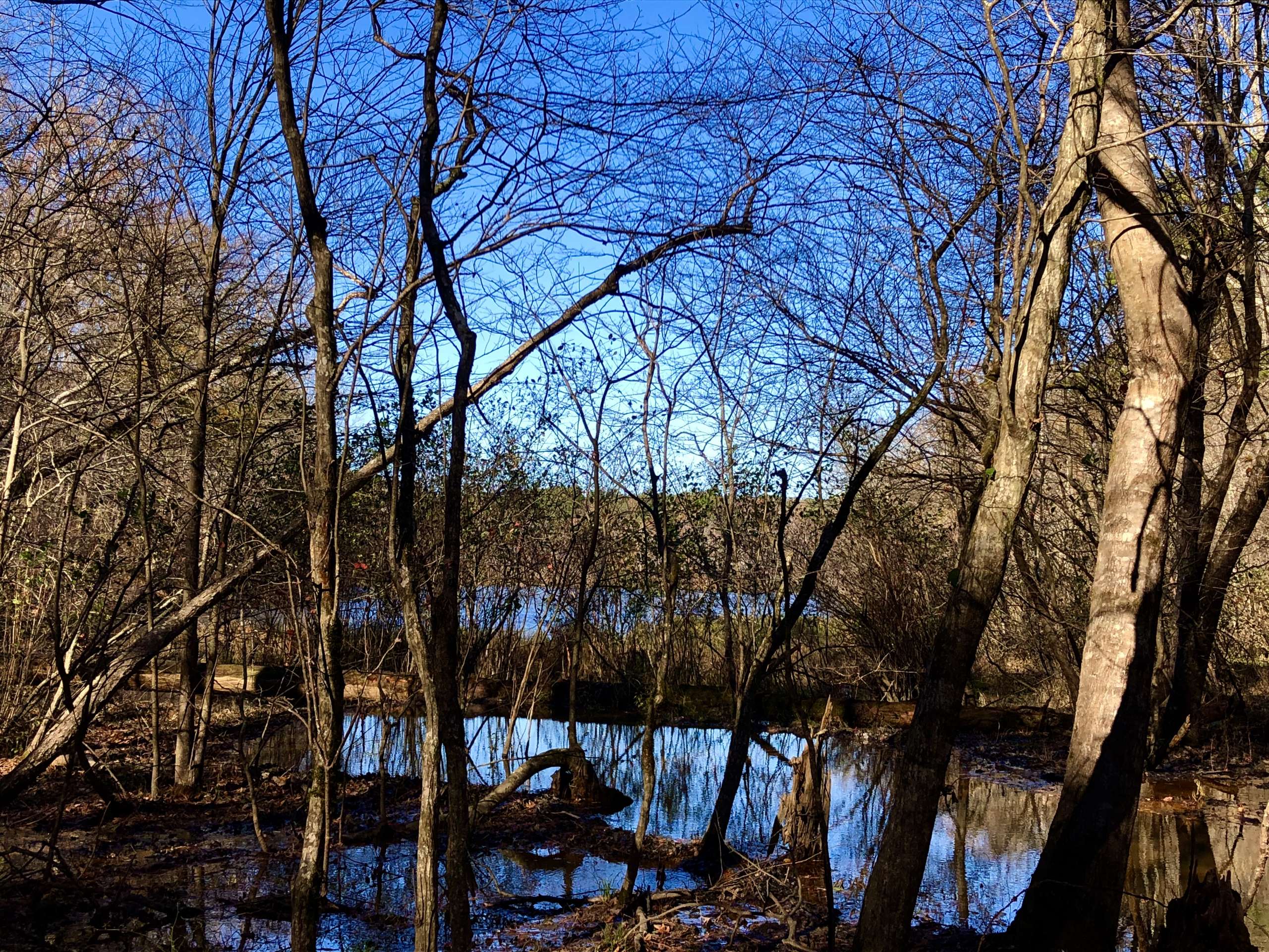 Indian Springs State Park in Flovilla, Georgia – Southeast To Start